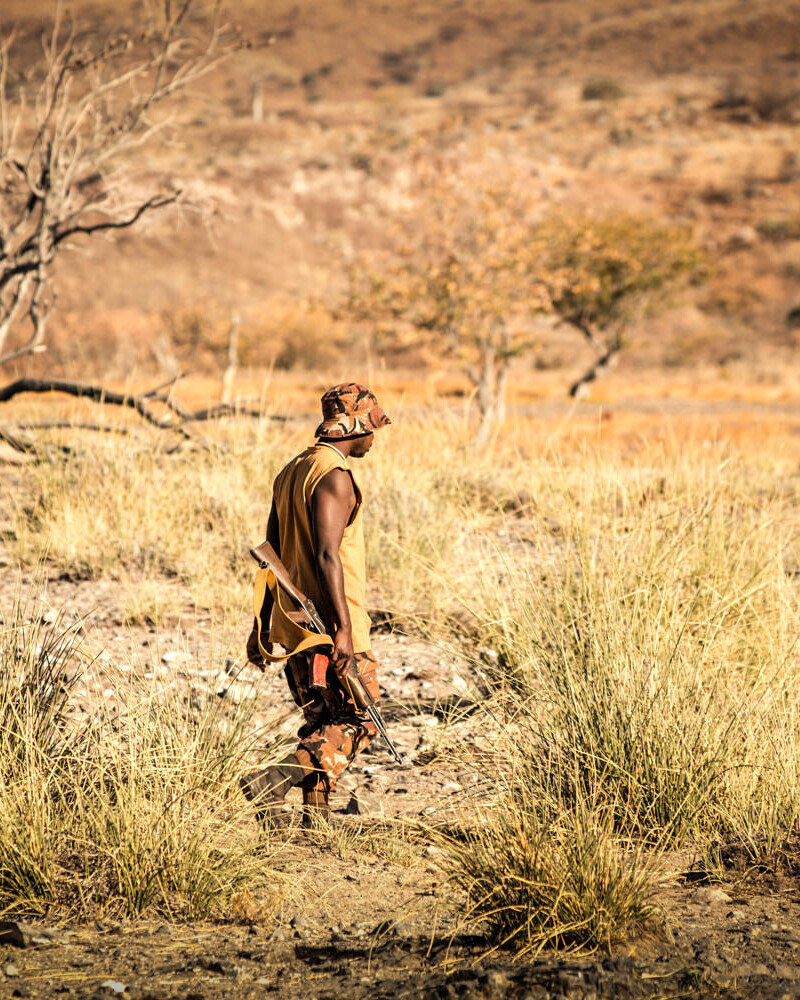 Namibia Wildlife Conservation