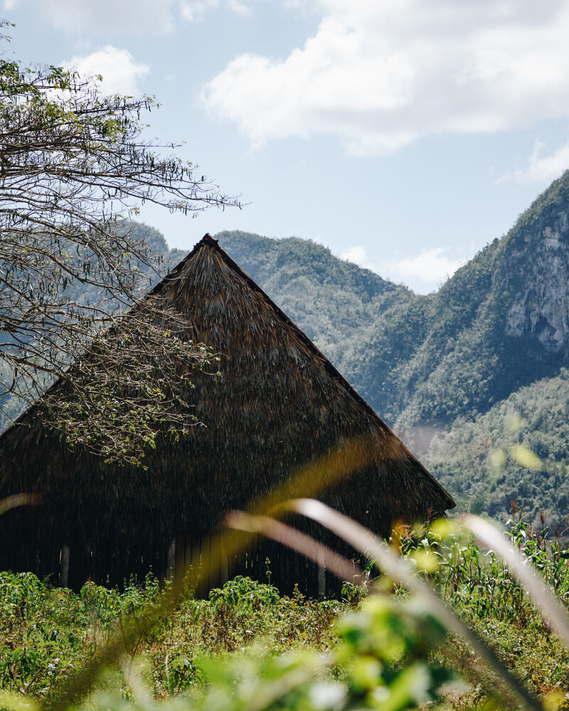 Cycling vinales, cuba