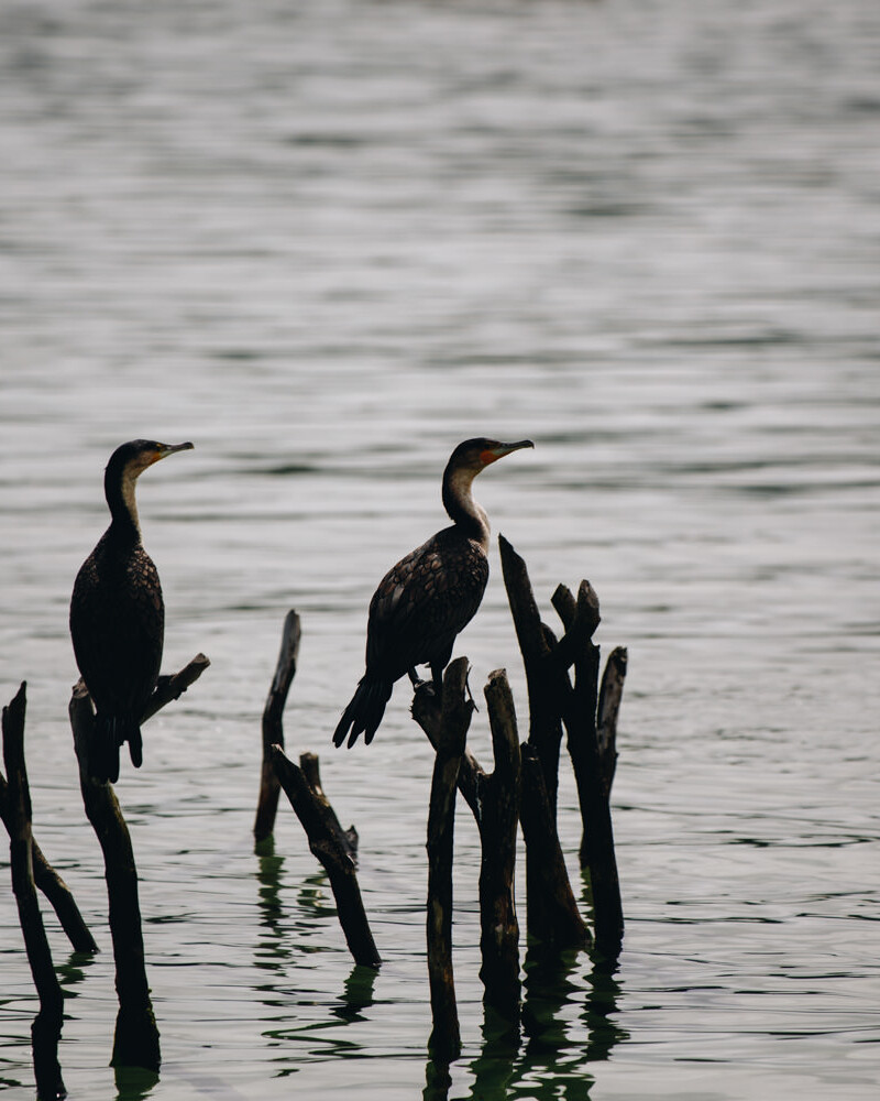Kosi Bay Activities, South Africa