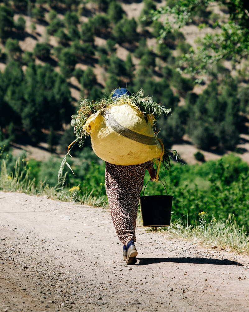 Berber villages in Morocco