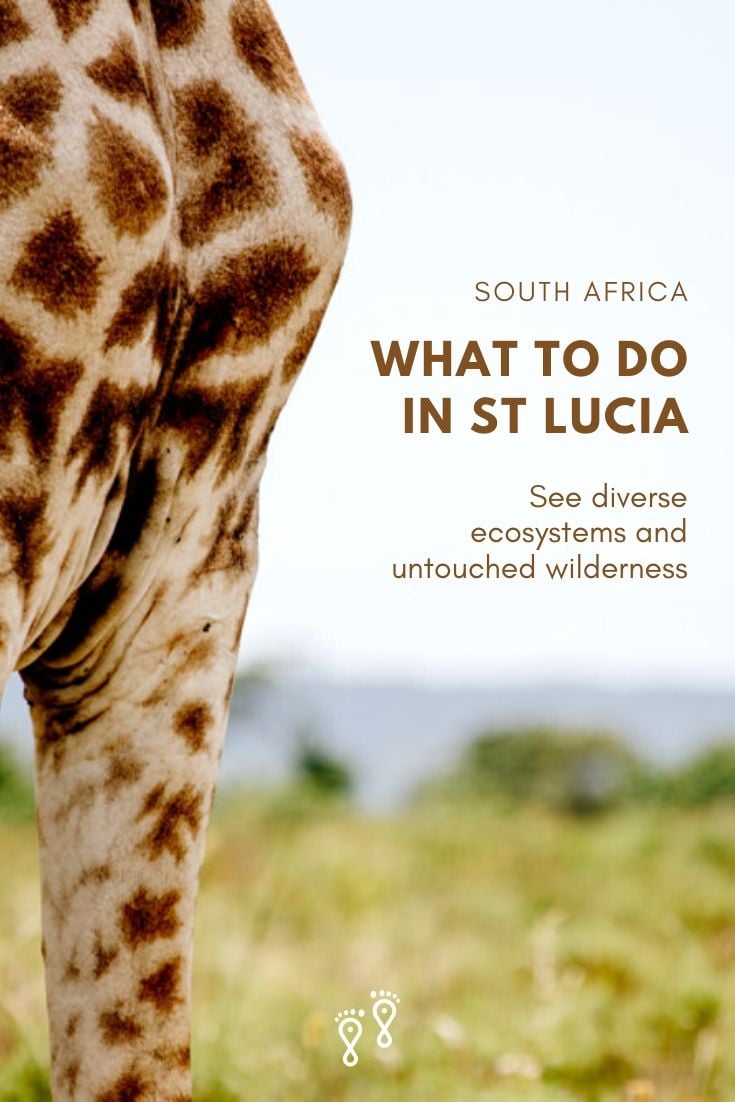 With diverse ecosystems and a complex array of habitats, St Lucia in South Africa is a world-class wildlife destination. Throw in sandy beaches and subtropical oceans and you’ll wonder why it’s so quiet.