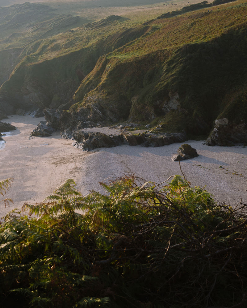 A beautifully sandy beach surrounded by cliffs in late afternoon light.