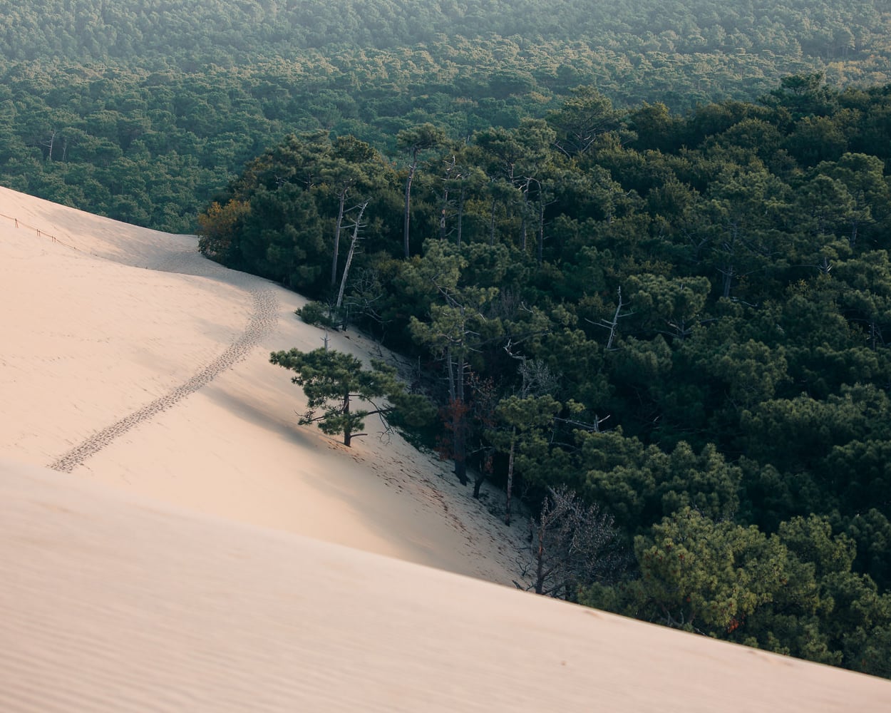 dune du pilat uai