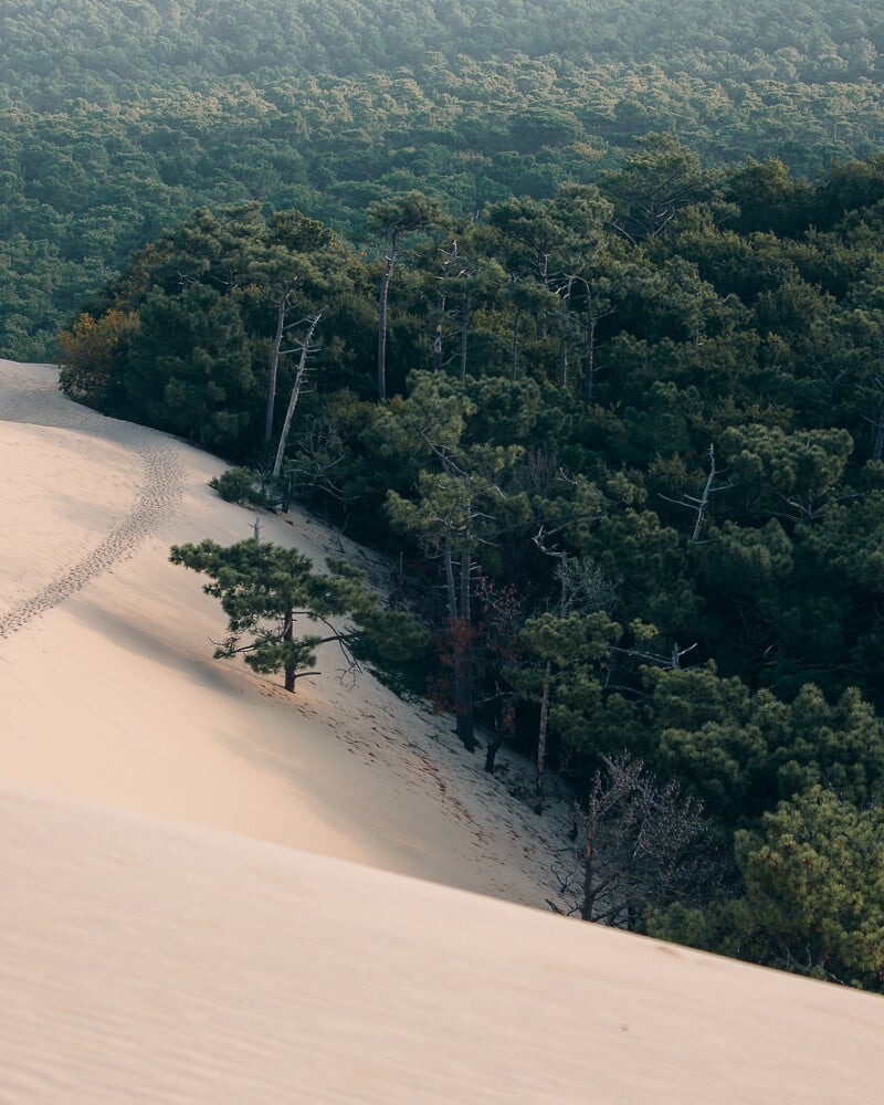 dune du pilat uai