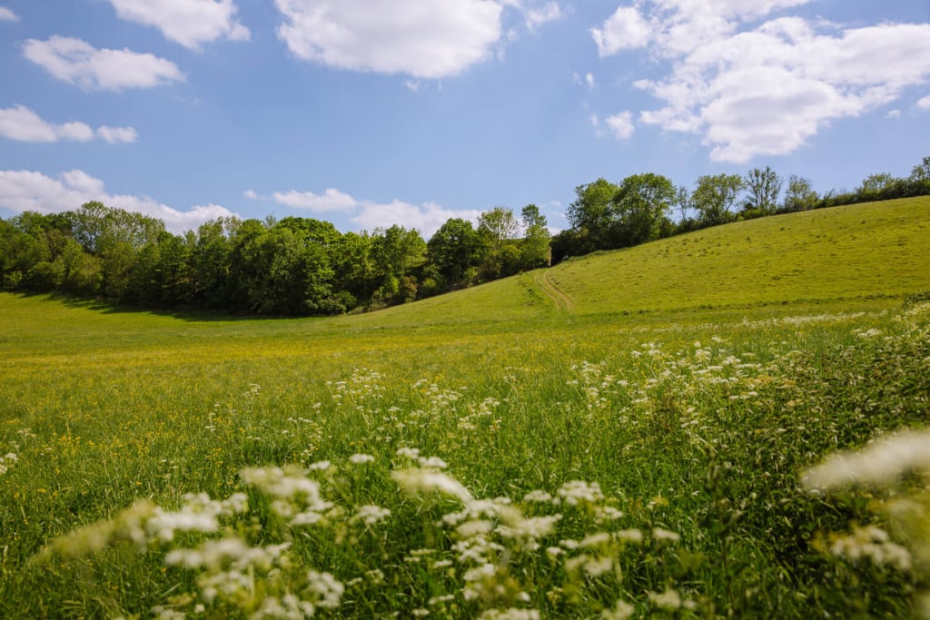 best circular walks cotswolds