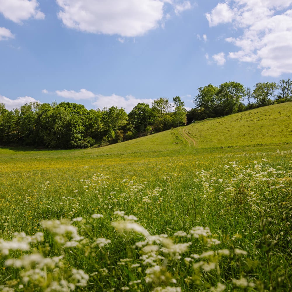 best circular walks cotswolds
