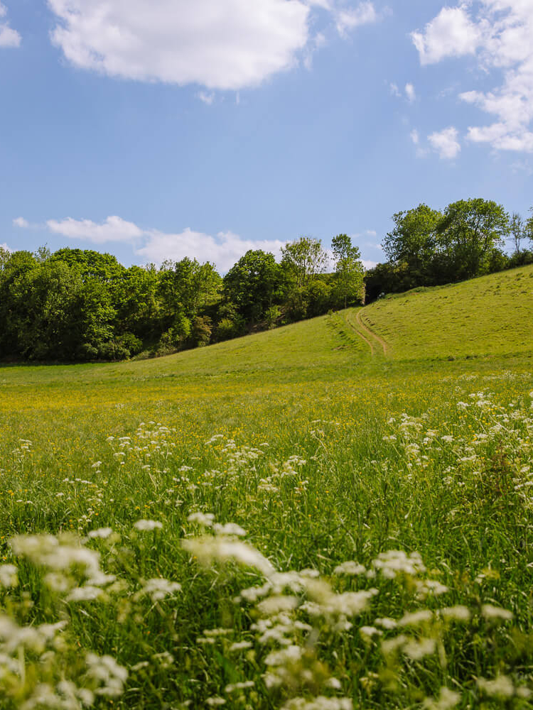 best circular walks cotswolds