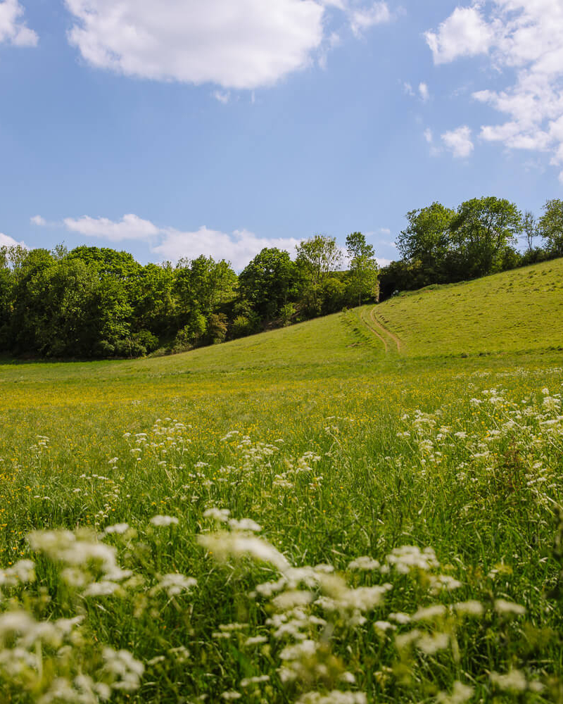 best circular walks cotswolds