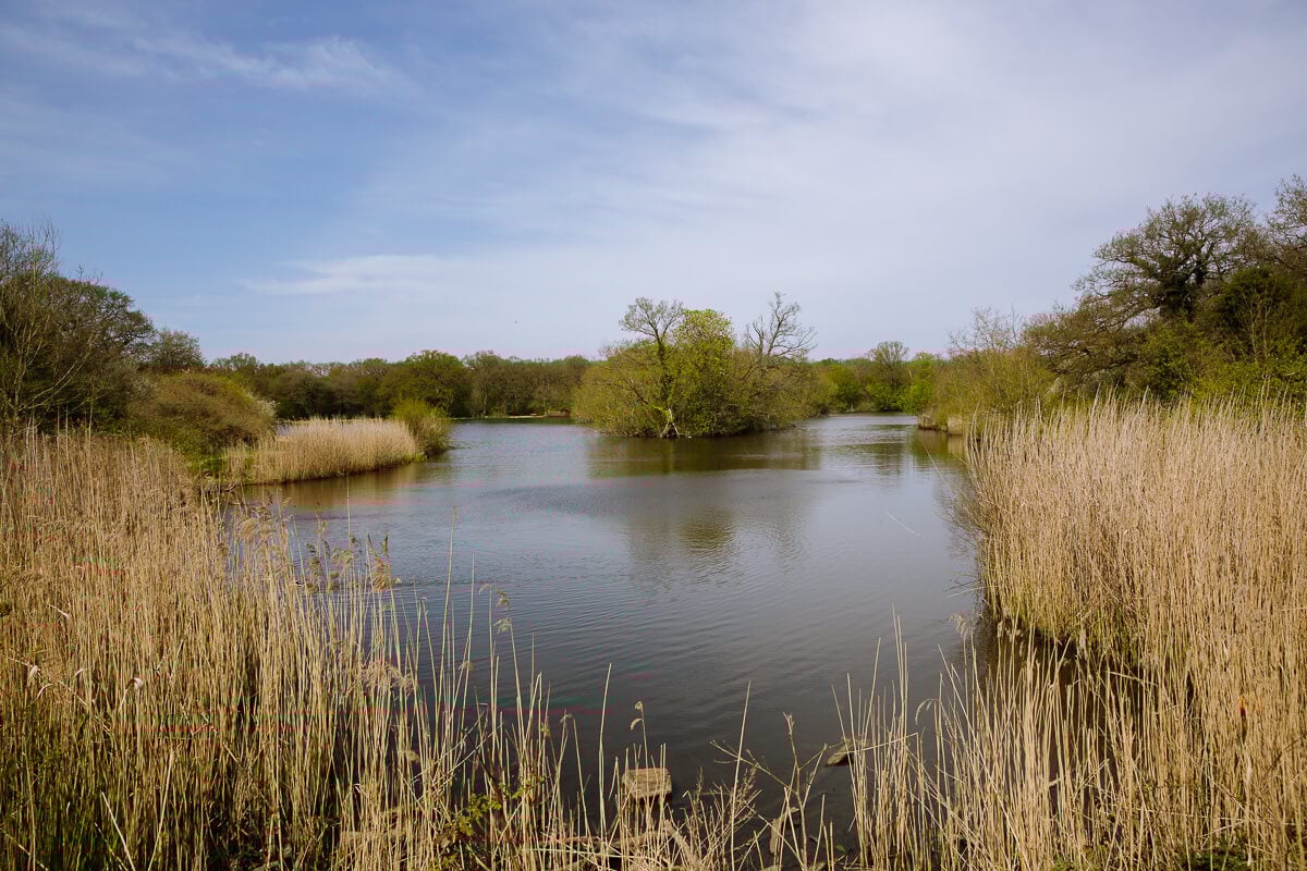 14 Beautiful Country Walks Near London By Car Or Train