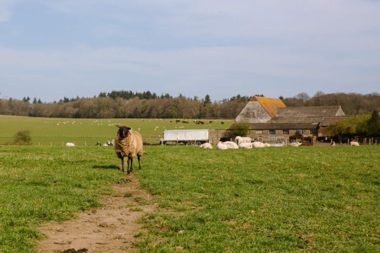 Hiking Near London — 13 Stunning Country Walks With Maps