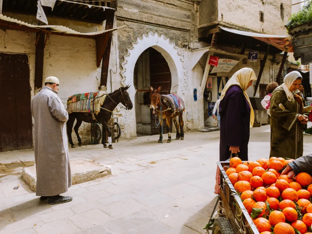 fez medina self-guided walk