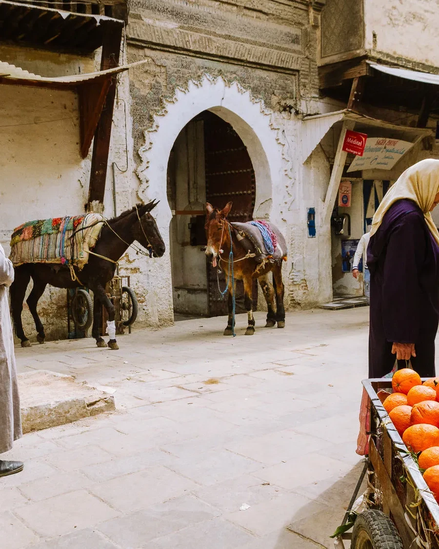 fez medina self-guided walk