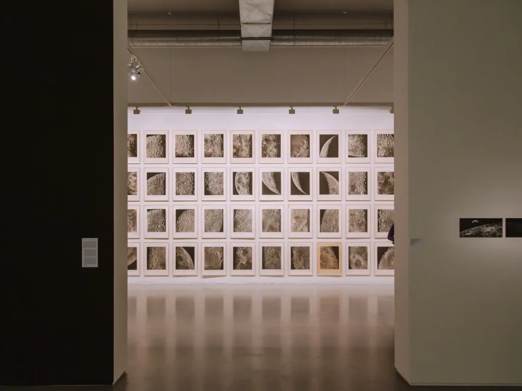 fomu antwerp