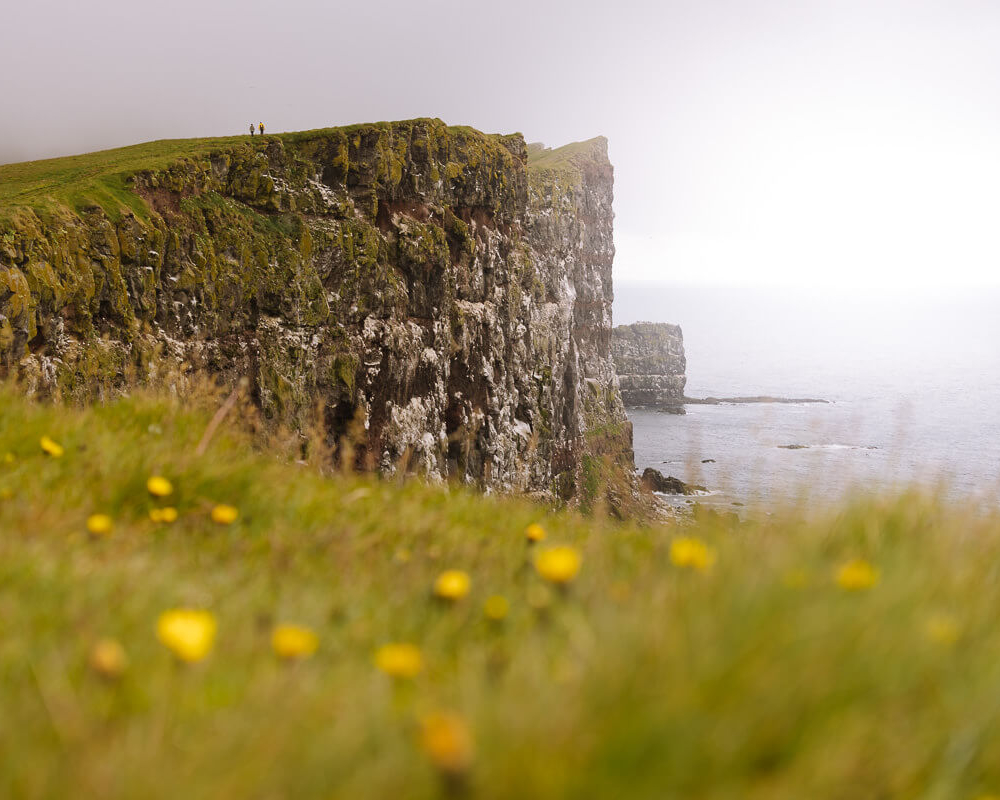 latrabjarg cliff westfjords iceland 8 uai