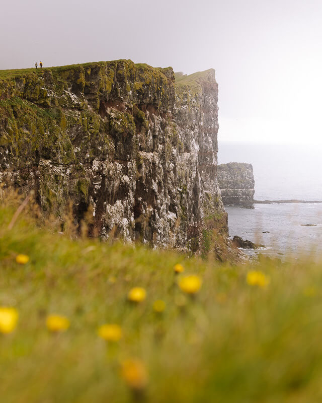 latrabjarg cliff westfjords iceland 8 uai