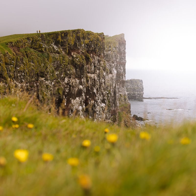 latrabjarg cliff westfjords iceland 8 uai