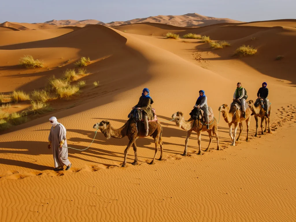 erg chebbi dunes morocco