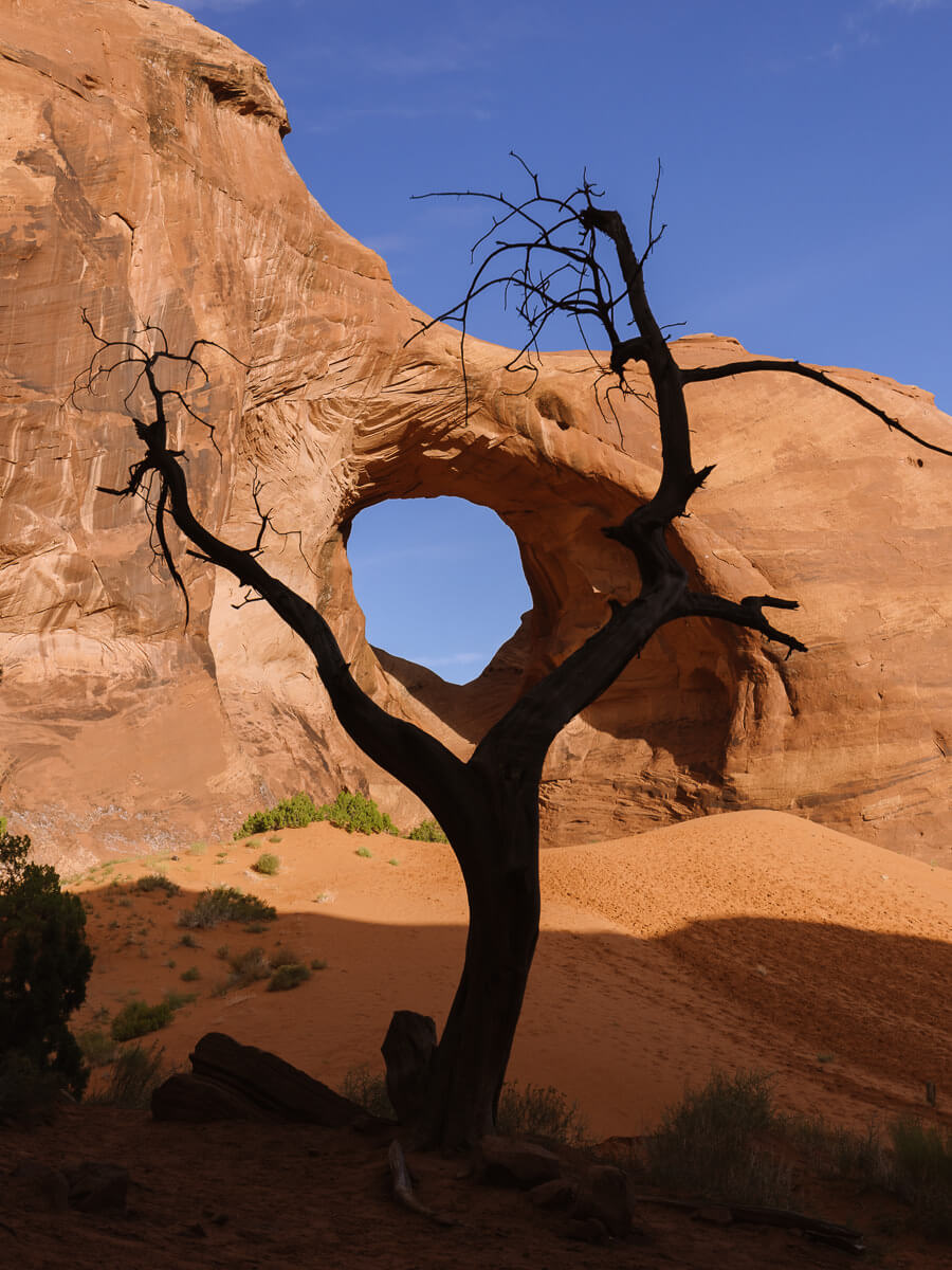 monument valley tours