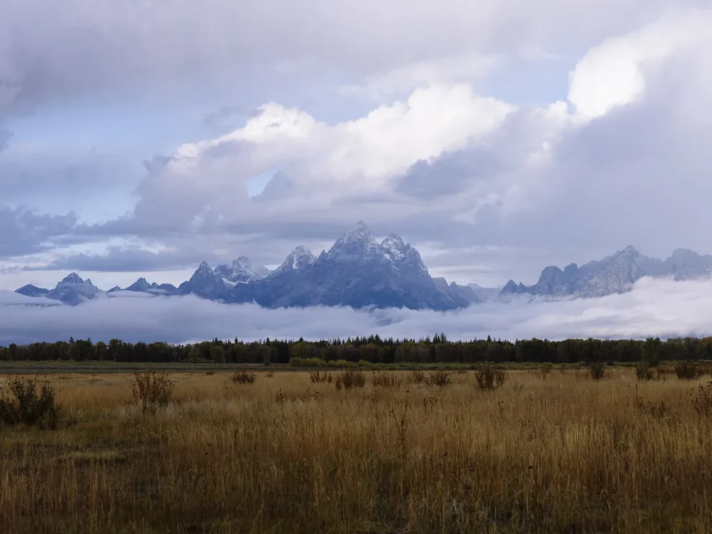 Grand Teton mountain range rising above a grassy meadow with low clouds and dramatic stormy skies.