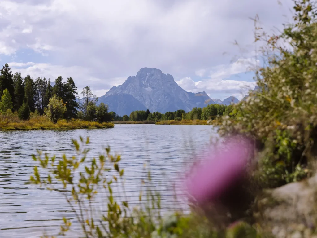 Grand Teton mountain rising beyond a river with trees along the bank and soft clouds overhead.