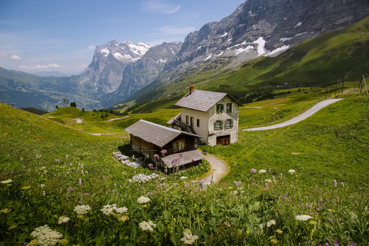 mannlichen panorama trail bernese oberland