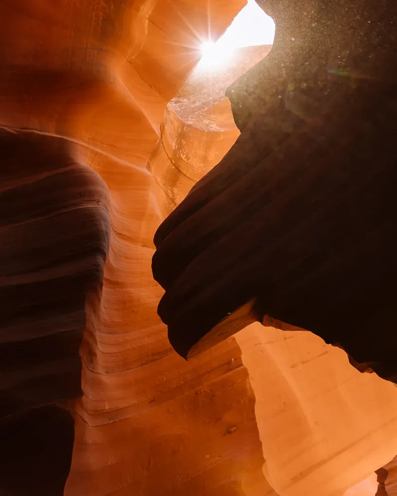 lion lower antelope canyon