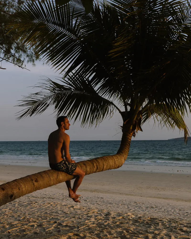 sitting on a palm tree koh rong island cambodia