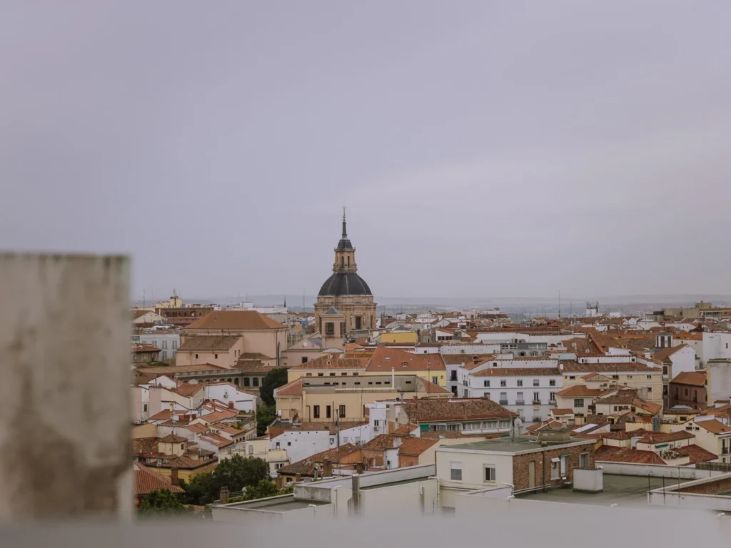 view madrid cathedral roof