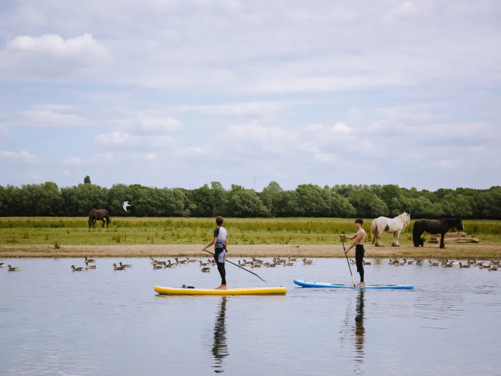 Two people paddleboarding on the River Thames at Port Meadow, Oxford, with horses grazing and ducks gathered on the sandy bank behind them beneath a cloudy summer sky