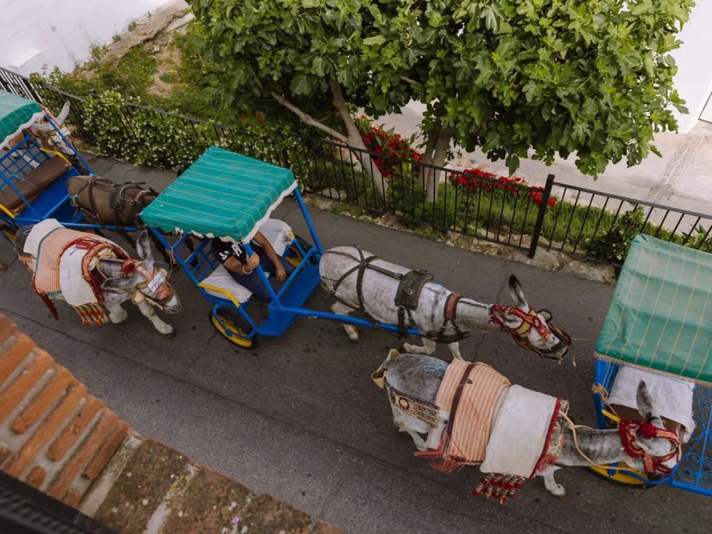 Donkey taxis pulling colourful blue and green carts on a street in Mijas Pueblo, Spain, seen from above