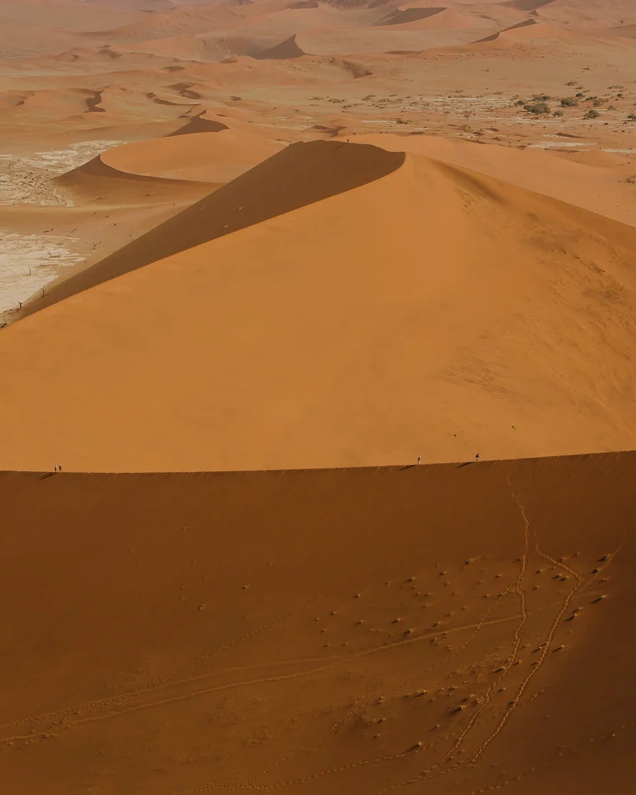 big daddy sossusvlei uai