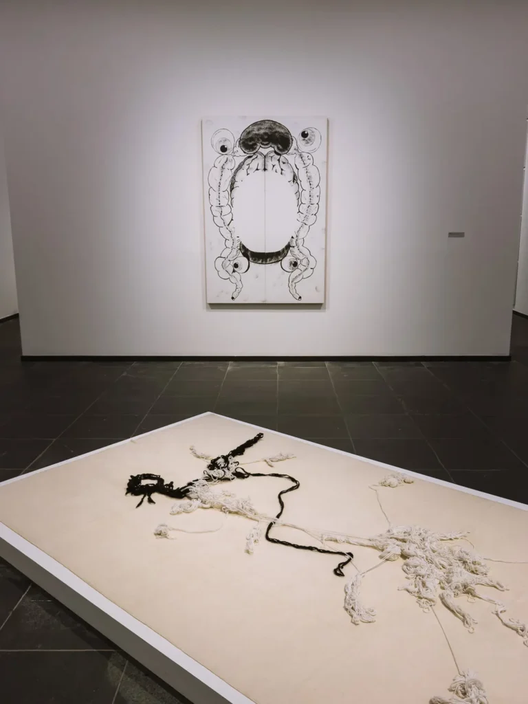 museum contemporary art gent 2
