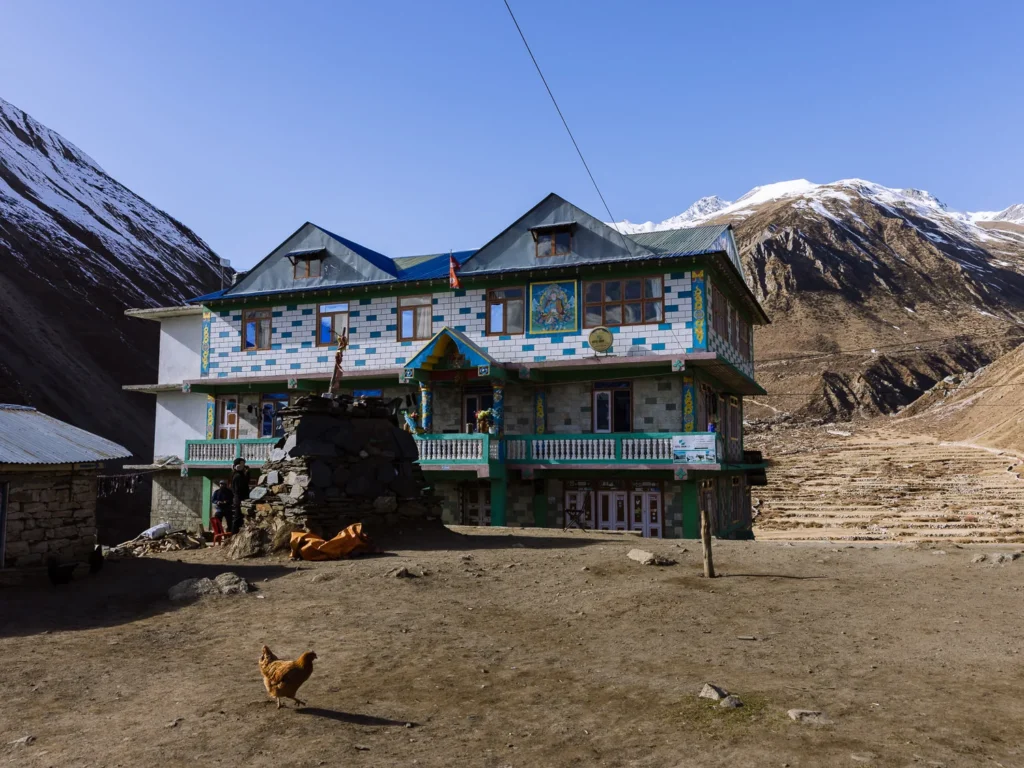 day 8 manaslu trek samdo snow lion teahouse