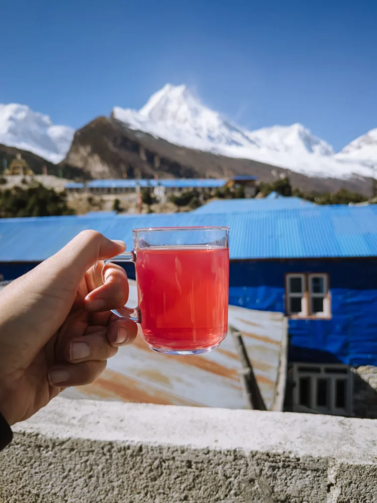 Nepal teahouse 31