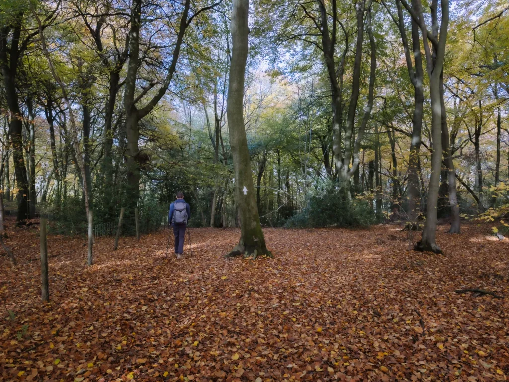 walking through hiking trails in autumn