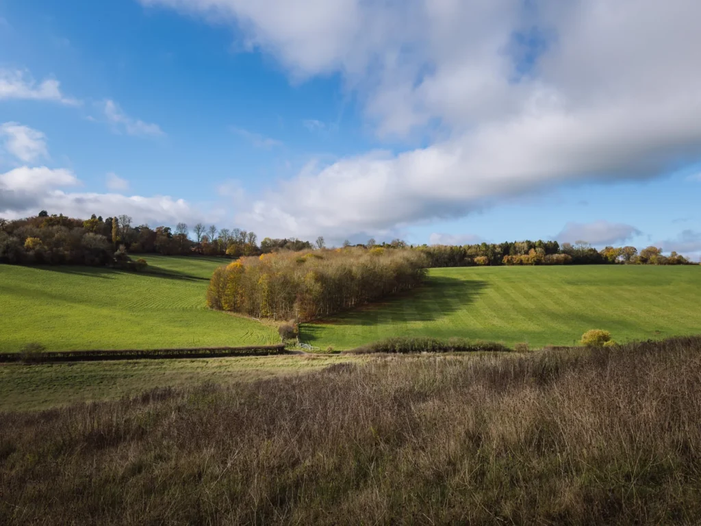 scenery on the chess valley walk