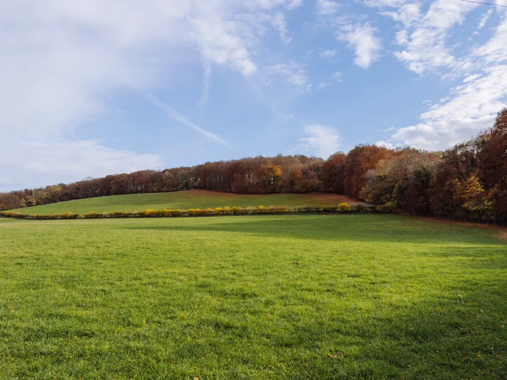 four pubs walk chilterns