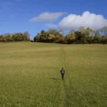best pub walks in the chilterns