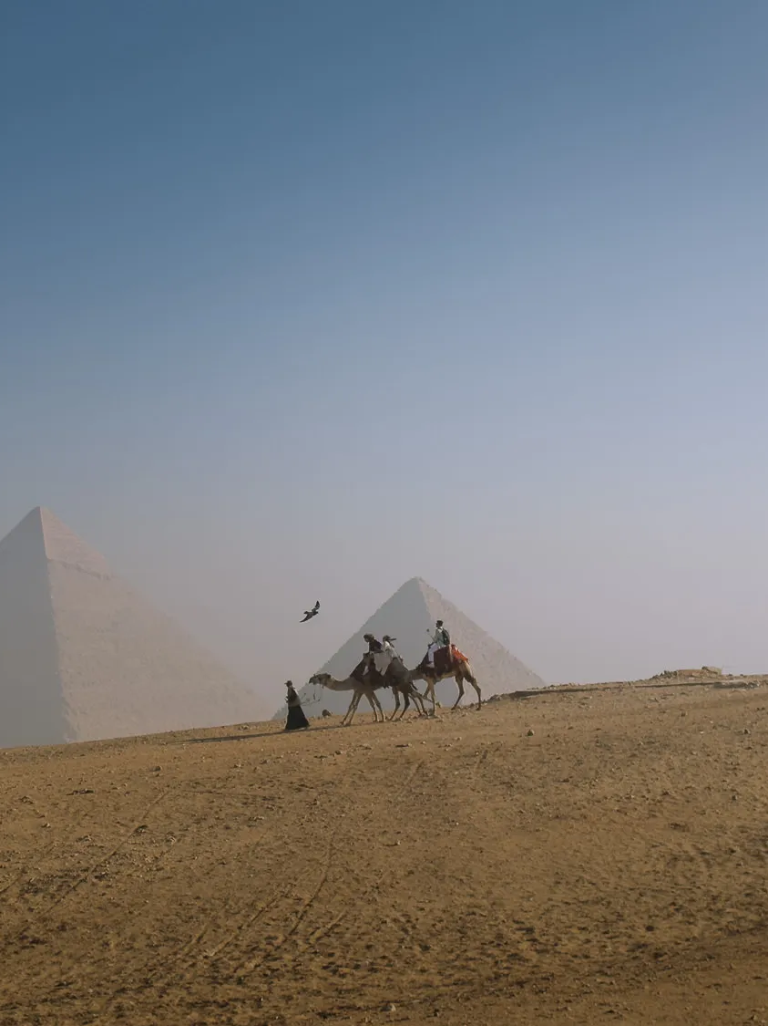 rides on camels in front of the pyramids of giza, egypt