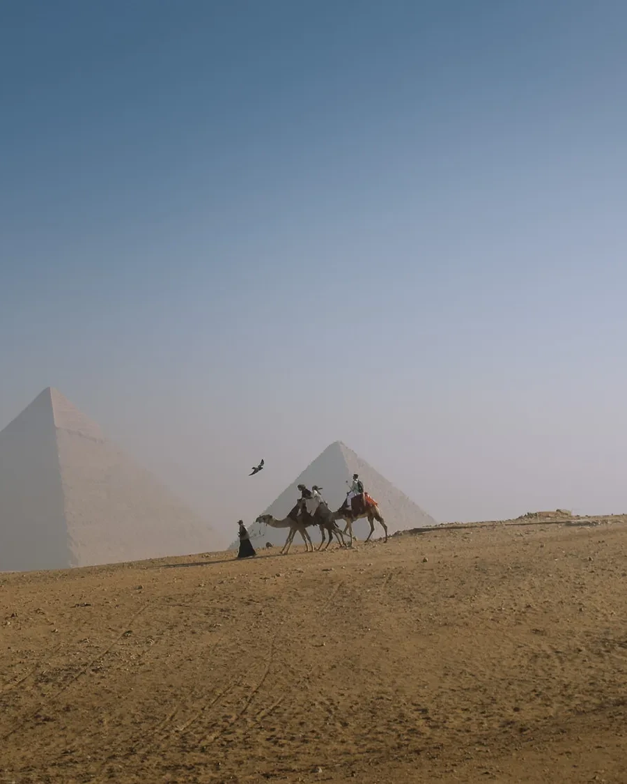 rides on camels in front of the pyramids of giza, egypt