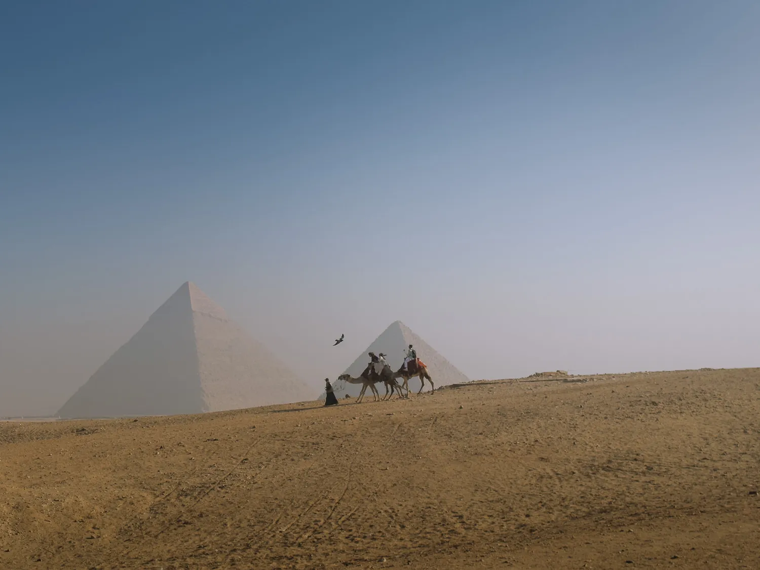 rides on camels in front of the pyramids of giza, egypt