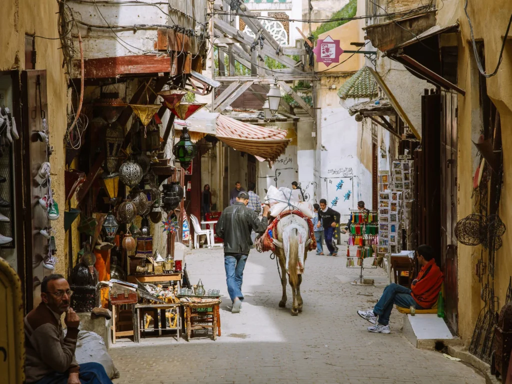 things to do in fez 14