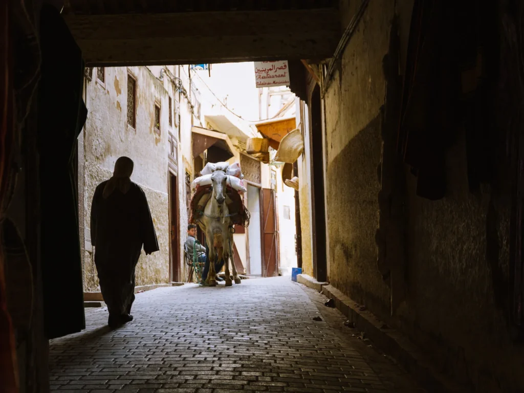 things to do in fez 20