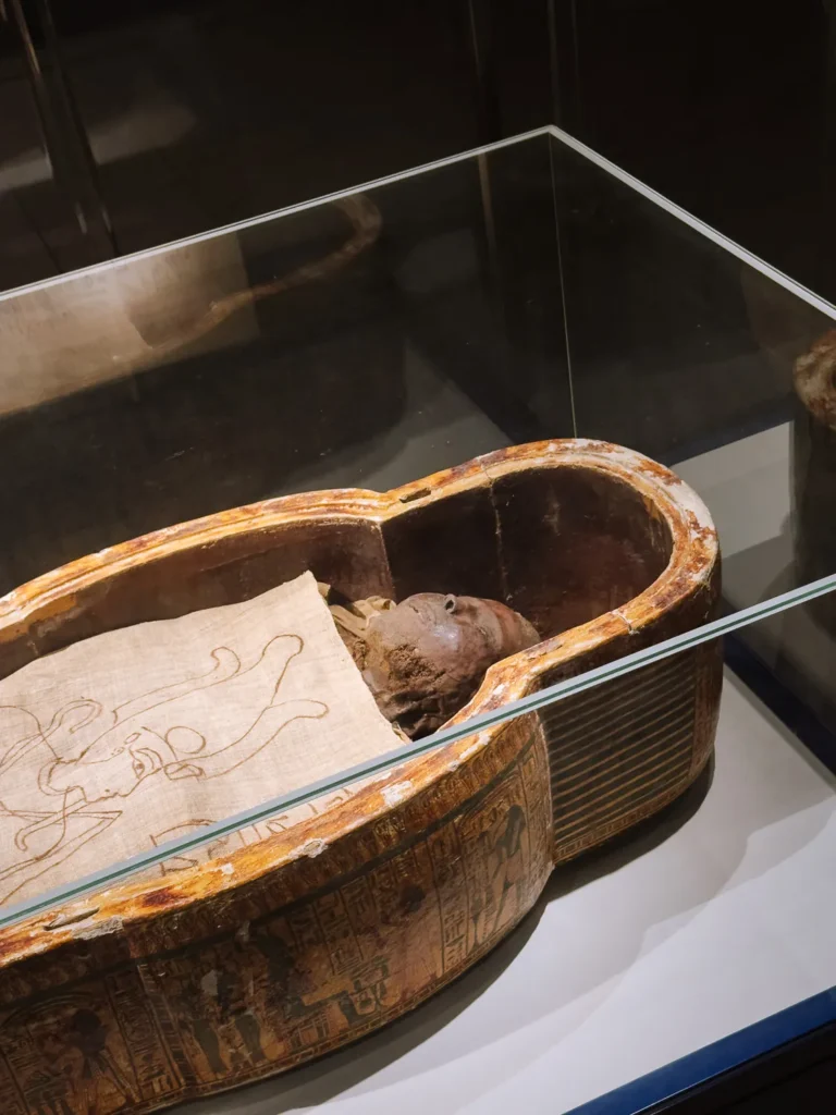 mummy in the mummification museum in Luxor