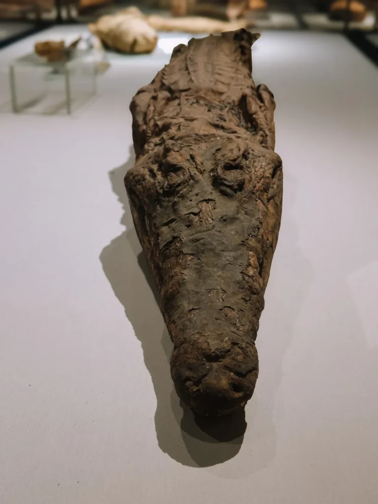 things to do luxor 5