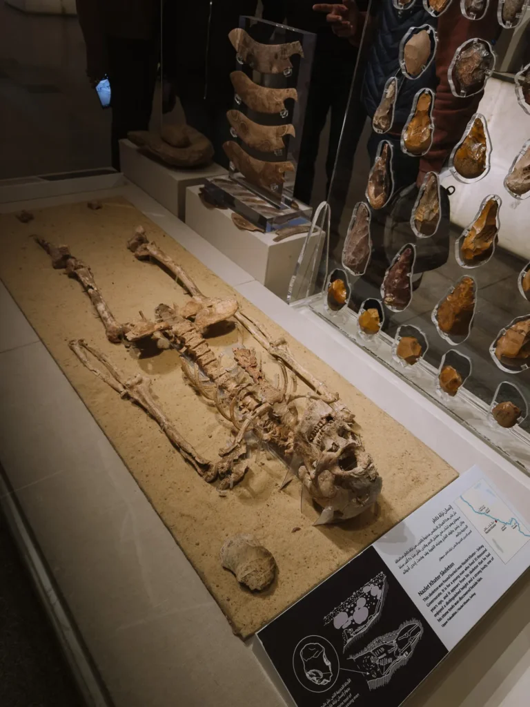 what to do cairo egyptian museum 2