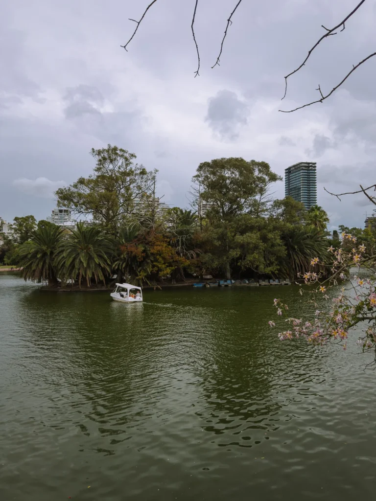 A pedal boat on the lake in the Bosques de Palermo, Buenos Aires, with a wooded island of palm trees in the middle distance and the city skyline visible through the overcast sky