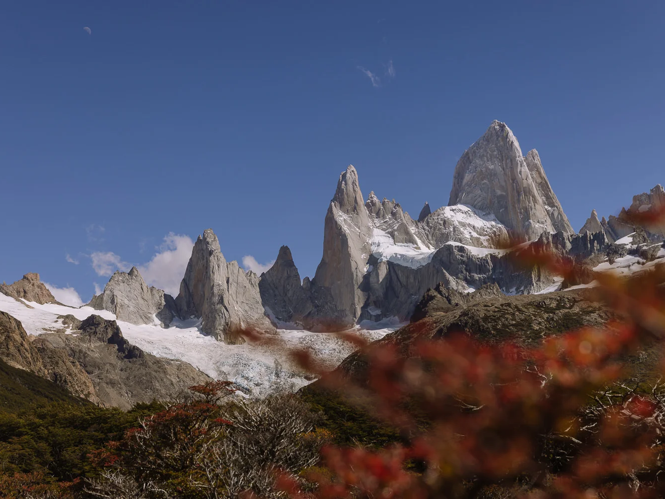 The jagged granite peaks of Monte Fitz Roy rising above a glacier and snowfields in Los Glaciares National Park, Patagonia, with red and orange autumn foliage in the foreground shrubs and a crescent moon visible in the deep blue sky above