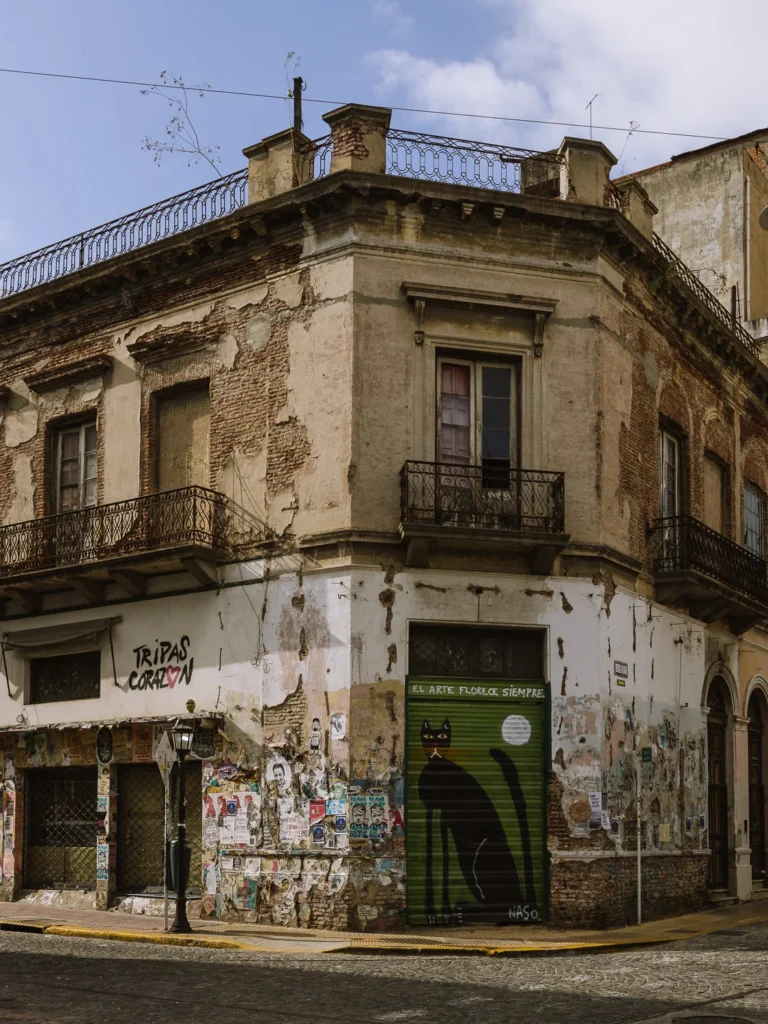 A crumbling colonial corner building in San Telmo, Buenos Aires, covered in street art and posters, with a large black cat mural on the green shutter and graffiti reading "El Arte Florece Siempre"