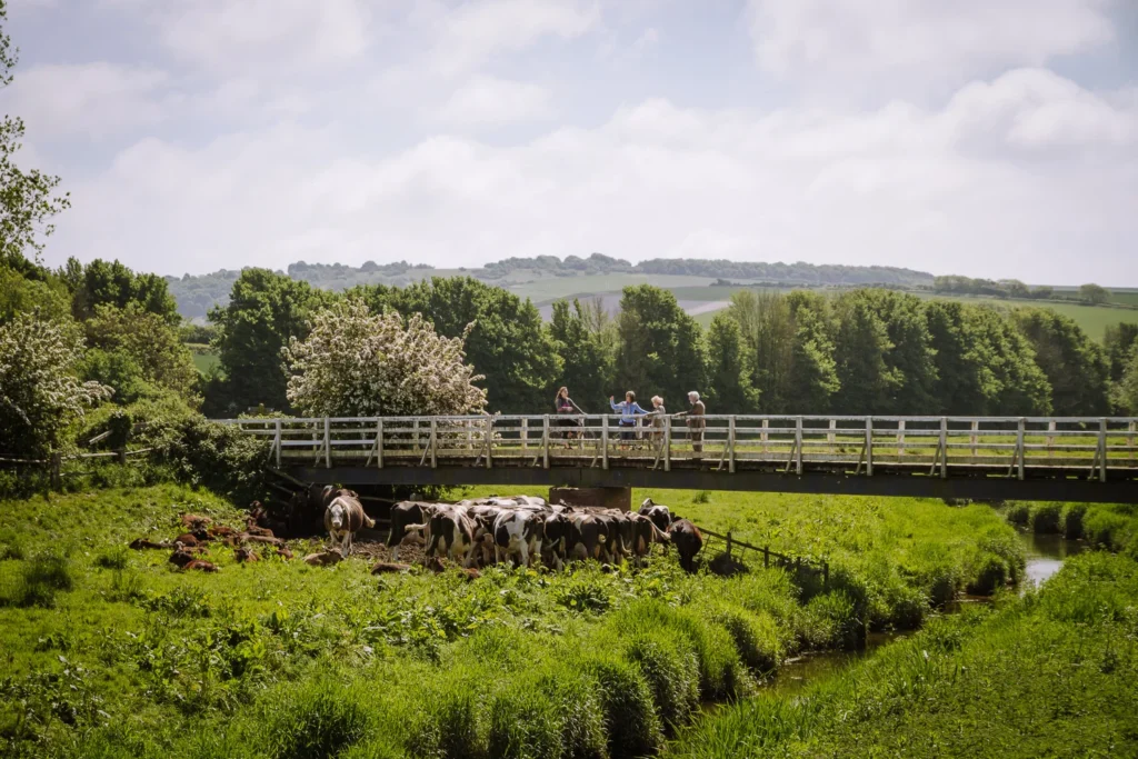 South Downs Way Alfriston